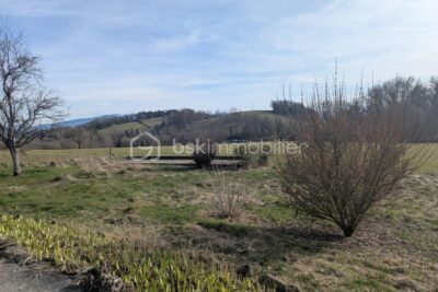 Terrain Plat 1007m2 – NR pièces – NR chambres – 1007 m²