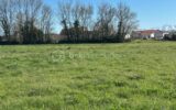 Terrain constructible de 2500M2 Maubourguet – NR pièces – NR chambres – 2500 m²