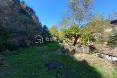 Rare vigneron dans le centre-ville avec jardin et 4 chambres – 6 pièces – 5 chambres – 150 m²