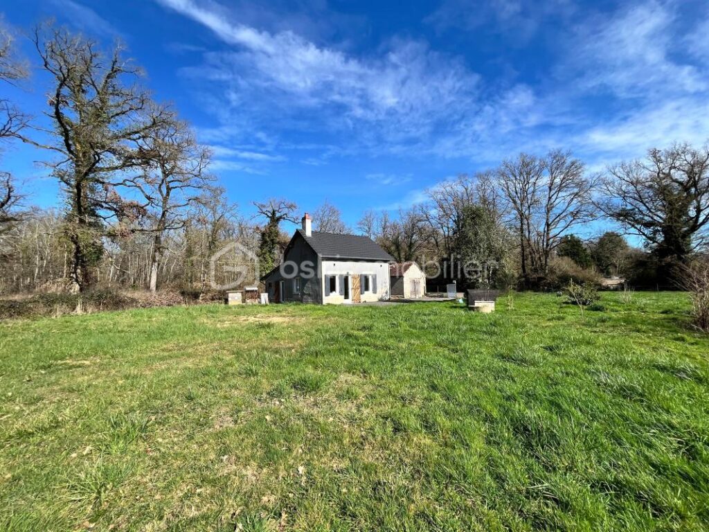 Superbe maison de campagne fraîchement rénovée sur son magnifique terrain au cœur de la forêt – 4 pièces – 2 chambres – 90 m²