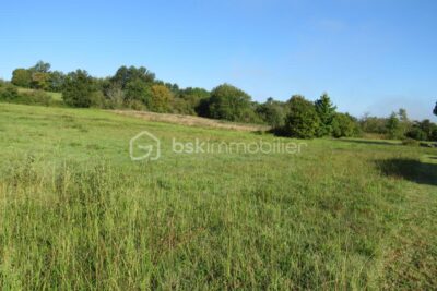 Terrain constructible de 3900 m² environ avec vue dominante – NR pièces – NR chambres – 3895 m²