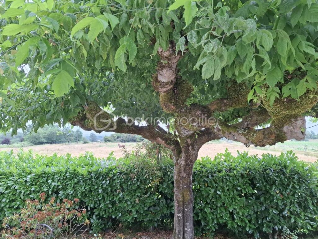 Maison spacieuse, sans vis à vis , au milieu de la nature – 6 pièces – 4 chambres – 145 m²