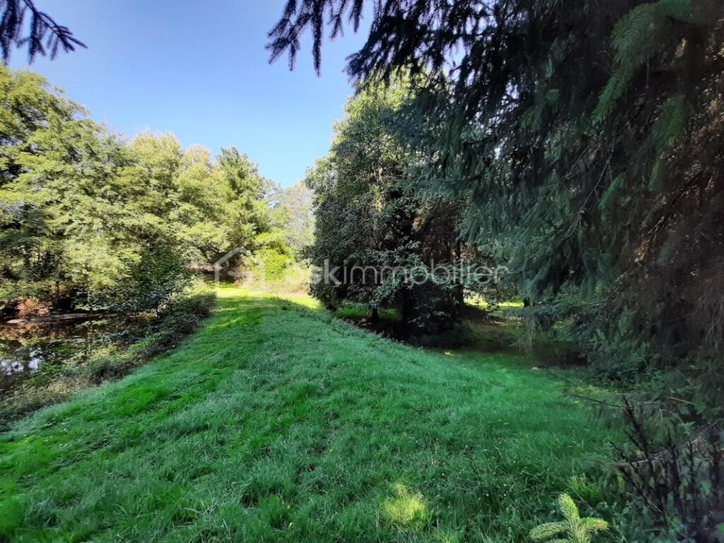 Terrain de loisir 9275 m² – Cognac la Forêt 87310 – NR pièces – NR chambres – 9773 m²