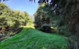 Terrain de loisir 9275 m² – Cognac la Forêt 87310 – NR pièces – NR chambres – 9773 m²