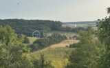 terrain à batir – NR pièces – NR chambres – 1013 m²