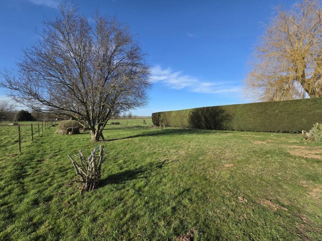 PAVILLON IND 112M² HAB SUR 1260M², SOUS SOL, HAB PLAIN PIED – 6 pièces – 4 chambres – 112 m²