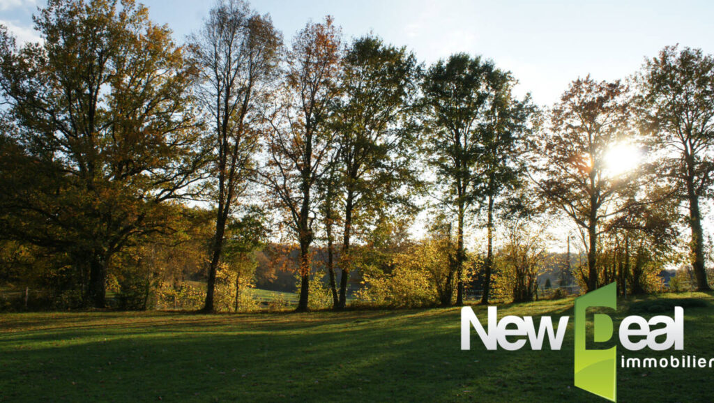 Terrain constructible – NR pièces – NR chambres – 1668 m²