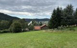 Terrain à bâtir 1800 m2 secteur Gerardmer – NR pièces – NR chambres – 1800 m²