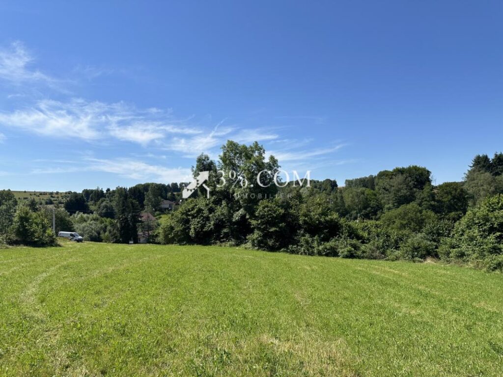 Terrain constructible de 6363 m2 sur la commune d’Uriménil – NR pièces – NR chambres – 6363 m²