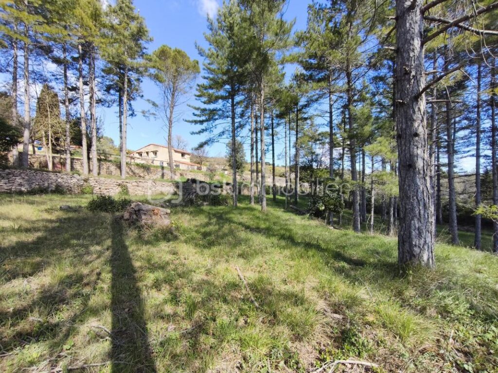 Maison 80m² + studio indépendant 27m² – parcelle 7800 m² – Vue exceptionnelle – 4 pièces – 3 chambres – 107 m²