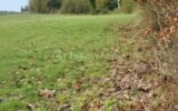 Terrain à vendre à Le plantis — Vue nature — photo 11
