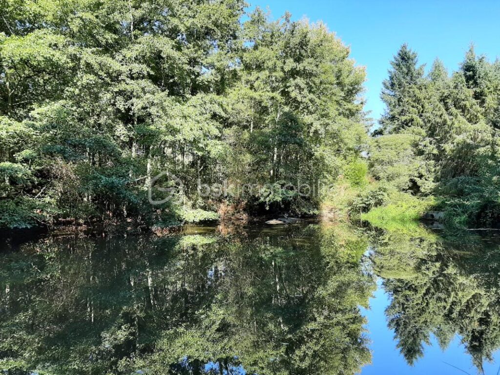 Terrain de loisir 9275 m² – Cognac la Forêt 87310 – NR pièces – NR chambres – 9773 m²