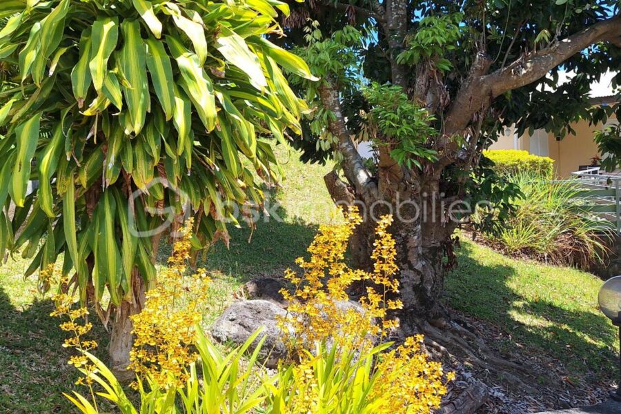 Maison à vendre à Sainte suzanne — Vue mer — photo 11