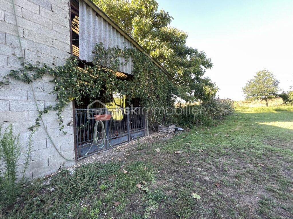 Belle Maison en Pierres – Grand Terrain Arboré – 5 pièces – 4 chambres – 145 m²