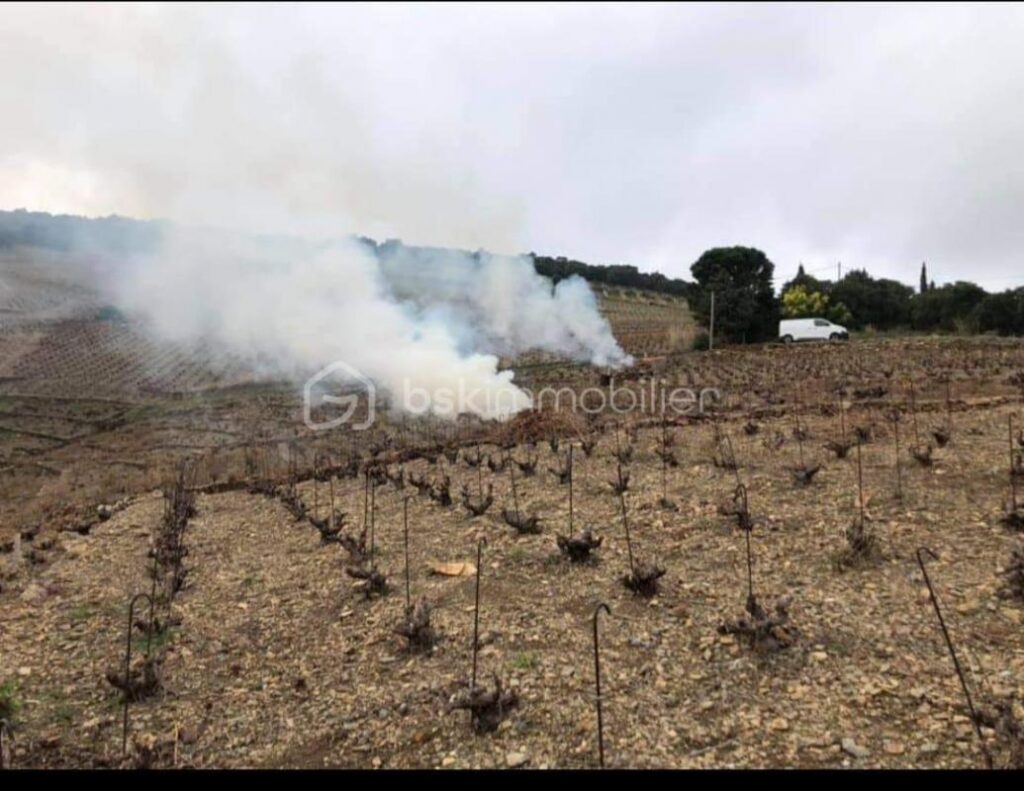 A VENDRE VIGNES EN COMPLANTS 47000 M² A BANYULS SUR MER – VUE MER – GRENACHE NOIR – NR pièces – NR chambres – 47000 m²