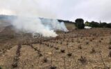 A VENDRE VIGNES EN COMPLANTS 47000 M² A BANYULS SUR MER – VUE MER – GRENACHE NOIR – NR pièces – NR chambres – 47000 m²