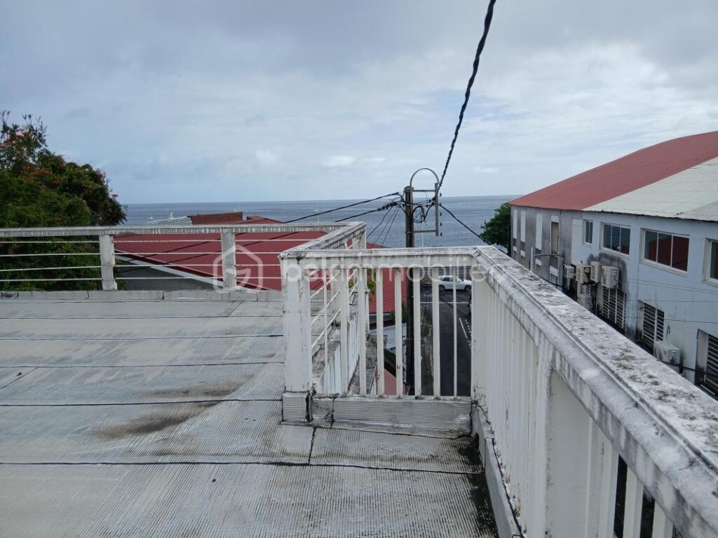 Immeuble d’exception au cœur de Basse-Terre avec rooftop et vue mer – 2 pièces – NR chambres – 340 m²