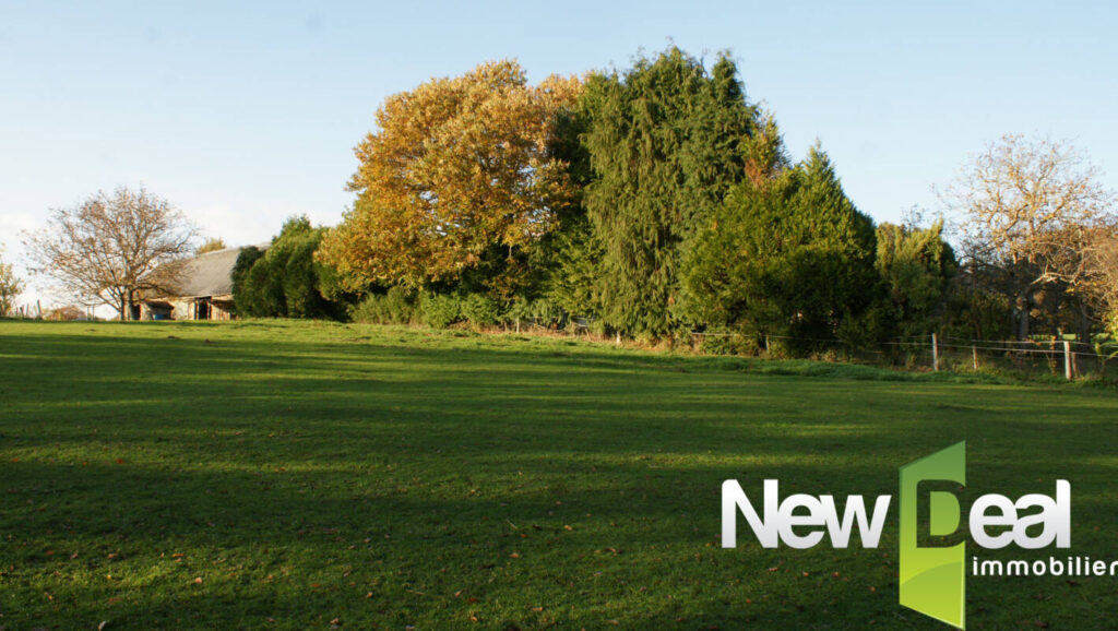 Terrain constructible – NR pièces – NR chambres – 3169 m²