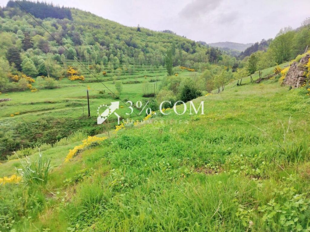 Propriété en pierre de 195m2 habitables et toutes ses dépend – 8 pièces – 5 chambres – 195 m²