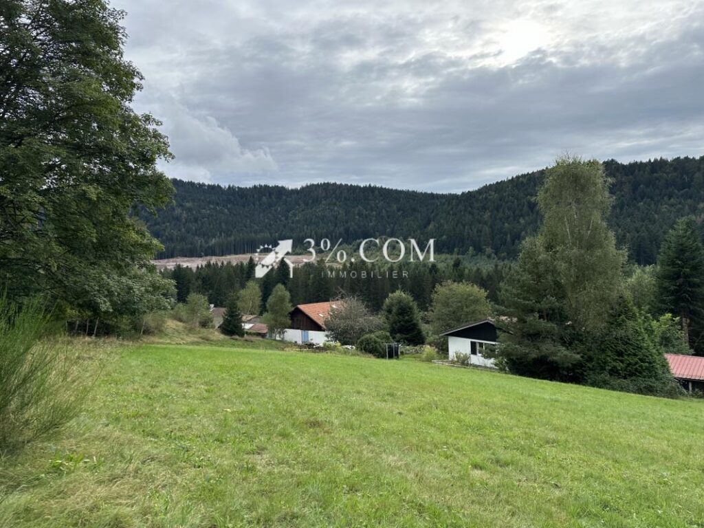 Terrain à bâtir 1800 m2 secteur Gerardmer – NR pièces – NR chambres – 1800 m²