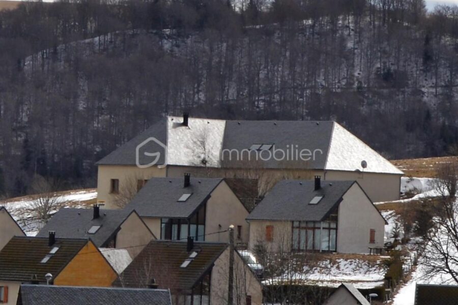 Maison à vendre à Besse et saint anastaise