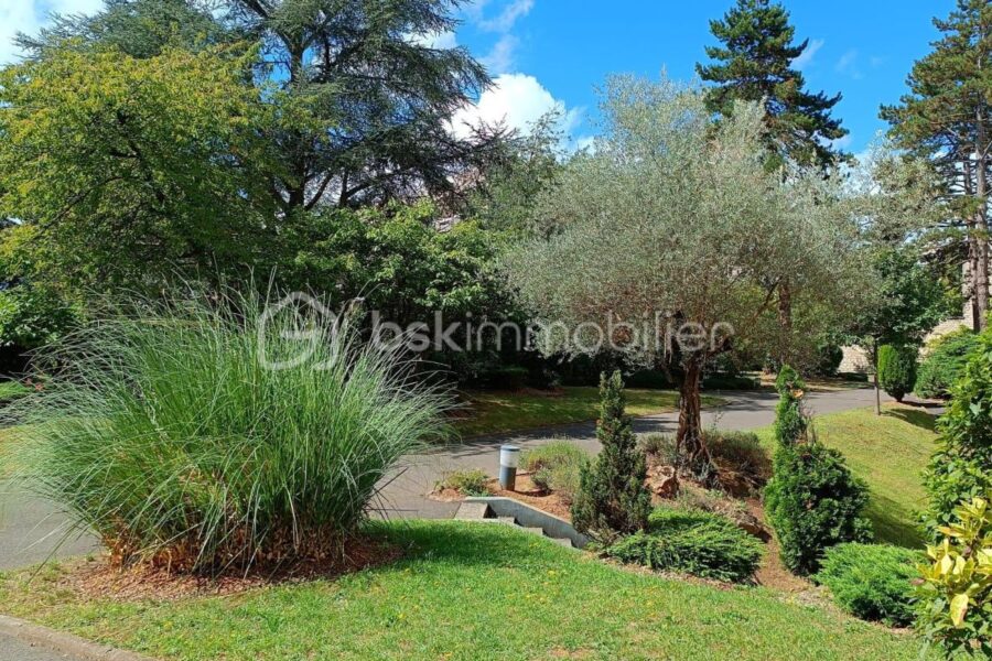 Appartement à vendre à Joinville le pont