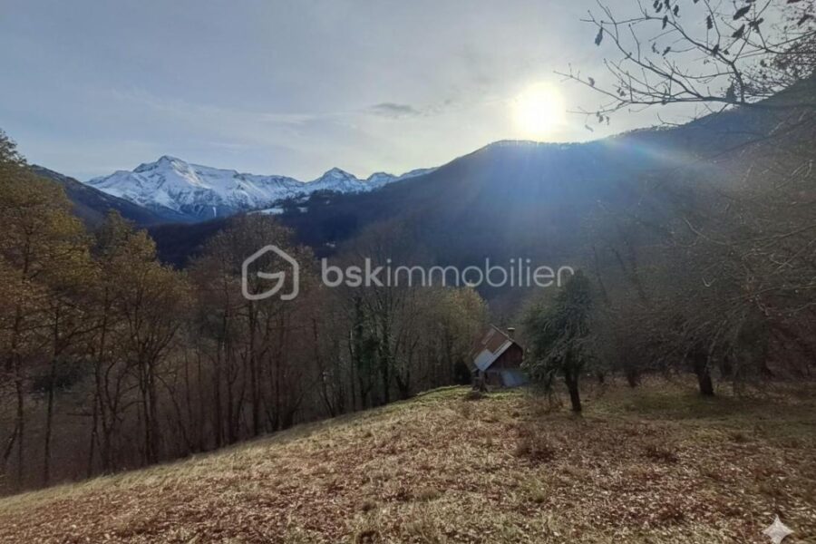 Maison à vendre à Antras — Vue montagne — photo 11
