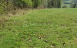 Terrain à vendre à Le plantis — Vue nature — photo 12