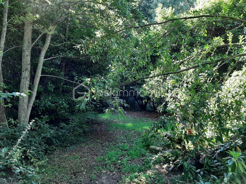 Terrain de loisir 9275 m² – Cognac la Forêt 87310 – NR pièces – NR chambres – 9773 m²