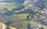 A VENDRE VIGNES EN COMPLANTS 47000 M² A BANYULS SUR MER – VUE MER – GRENACHE NOIR – NR pièces – NR chambres – 47000 m²