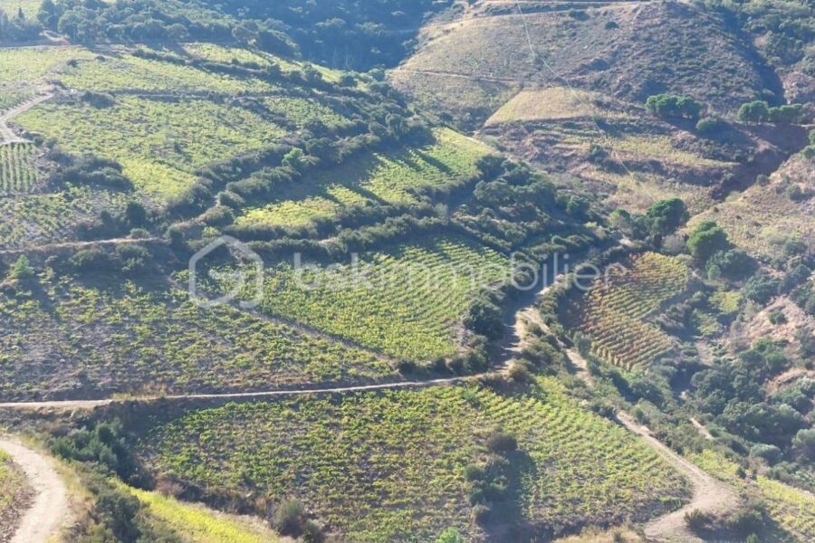 Terrain à vendre à Banyuls sur mer