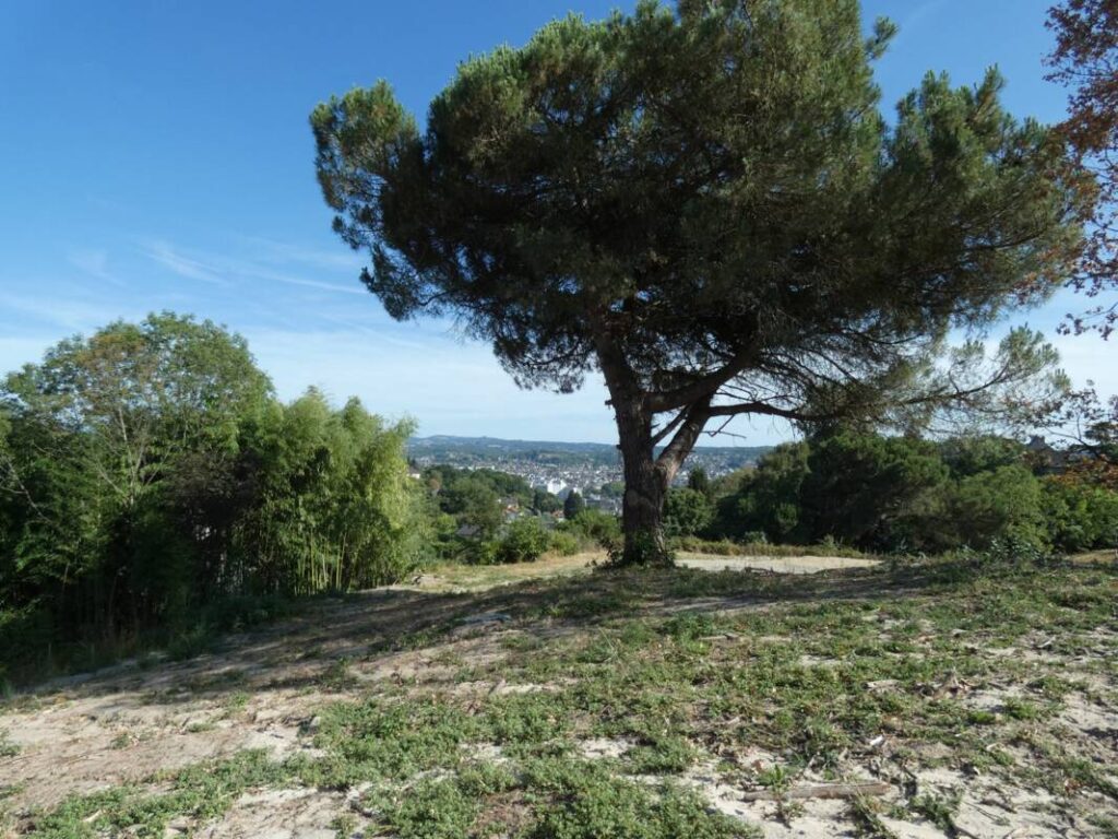 Terrain viabilisé 1005 m² avec superbe vue – NR pièces – NR chambres – 1005 m²