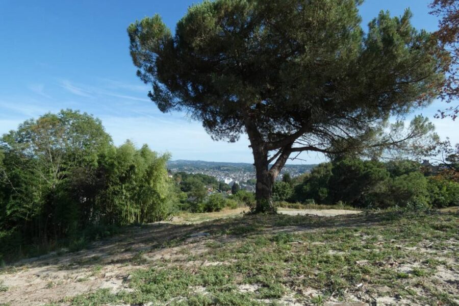 Terrain à vendre à Brive la gaillarde