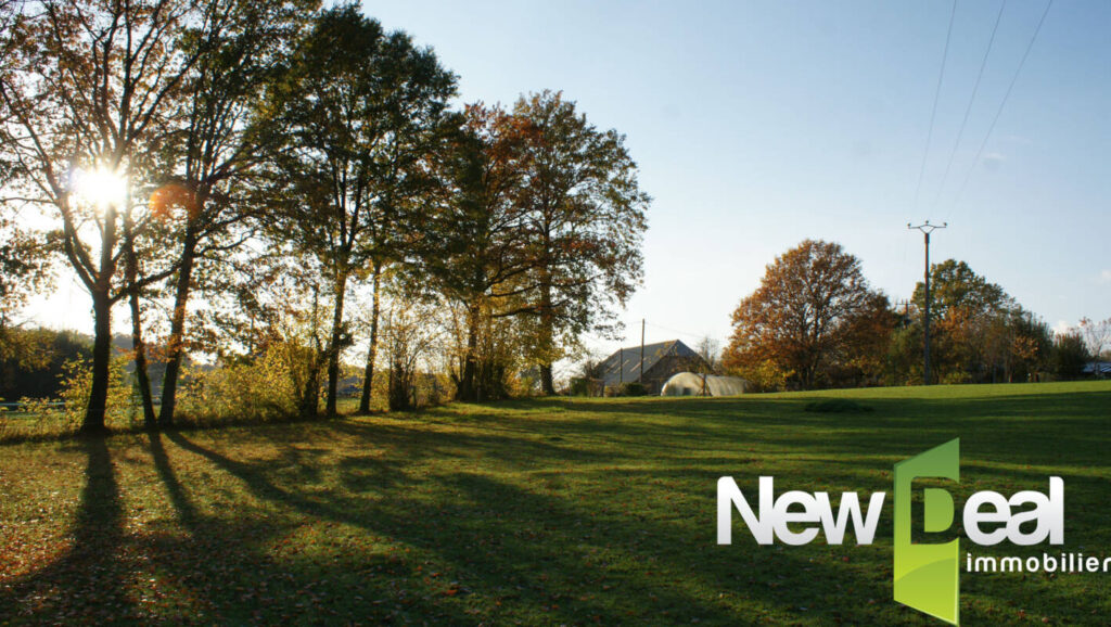 Terrain constructible – NR pièces – NR chambres – 1668 m²