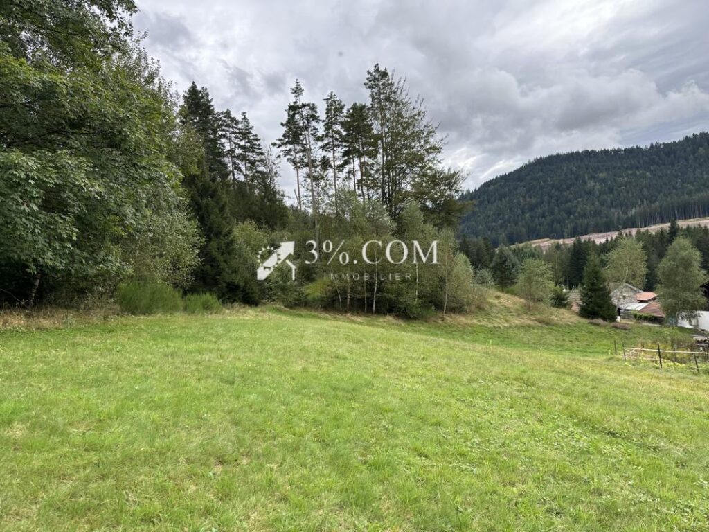 Terrain à bâtir 1800 m2 secteur Gerardmer – NR pièces – NR chambres – 1800 m²