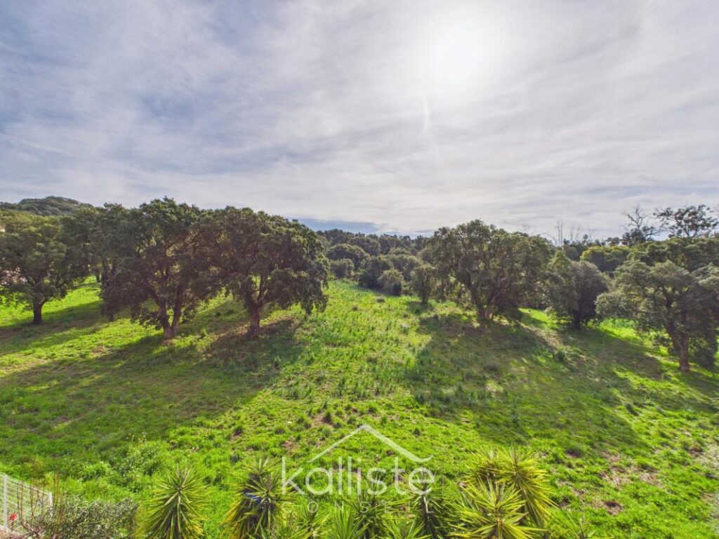 Grand T3 lumineux avec terrasse – Résidence A Spusata – Quartier Madunuccia – Ajaccio – 3 pièces – 2 chambres – 71 m²