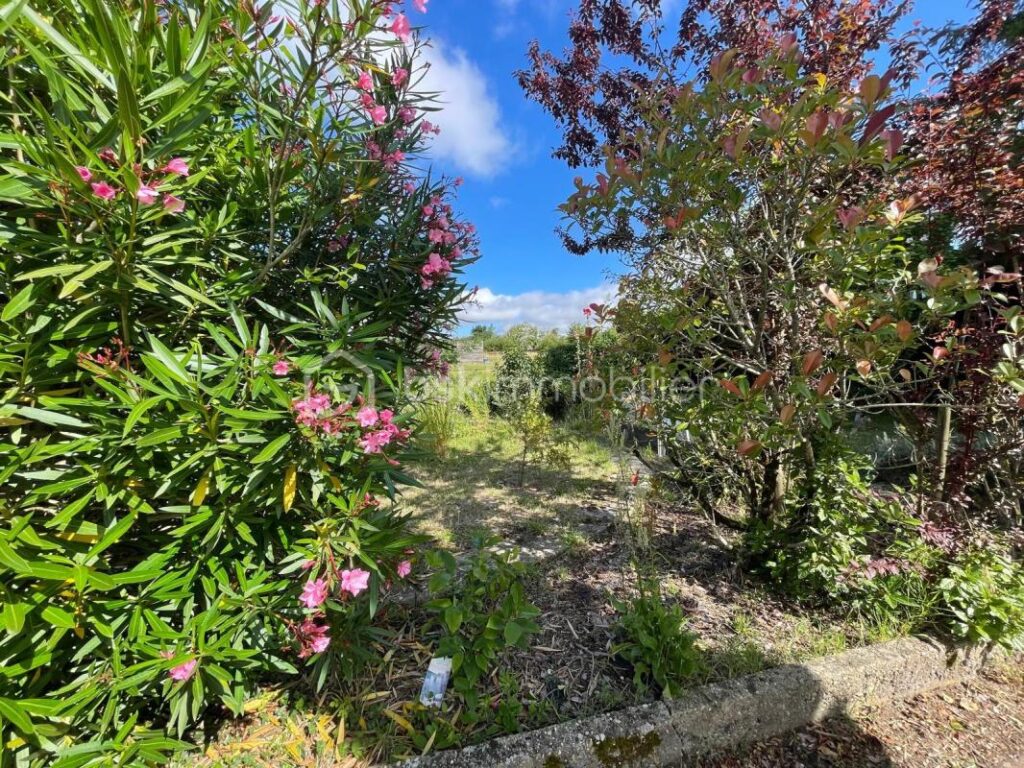 Exclusivité BSK Immobilier – Maison d’exception au cœur de la nature, à 2 minutes du centre-ville – 5 pièces – 3 chambres – 91 m²