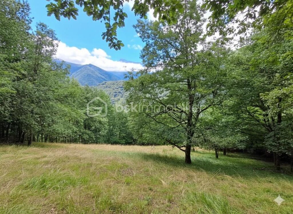 L’authenticité et le rêve: la grange de Jean-Pierre – Un hectare de nature en montagne – 2 pièces – 1 chambre – 30 m²