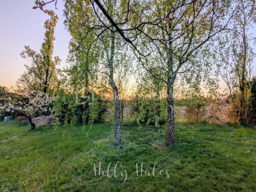 Maison de campagne familiale – 5 pièces – 4 chambres – 120 m²