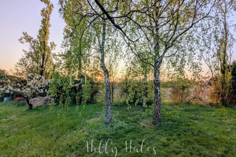 Maison à vendre à Le loroux bottereau — Vue nature — photo 13