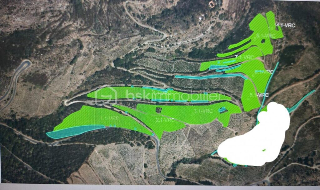 A VENDRE VIGNES EN COMPLANTS 47000 M² A BANYULS SUR MER – VUE MER – GRENACHE NOIR – NR pièces – NR chambres – 47000 m²