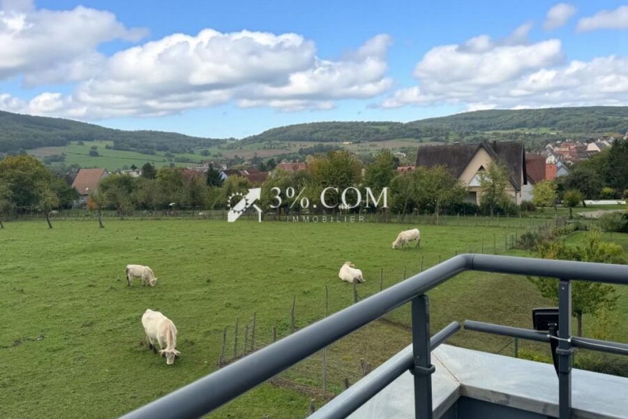 Appartement à vendre à Wasselonne