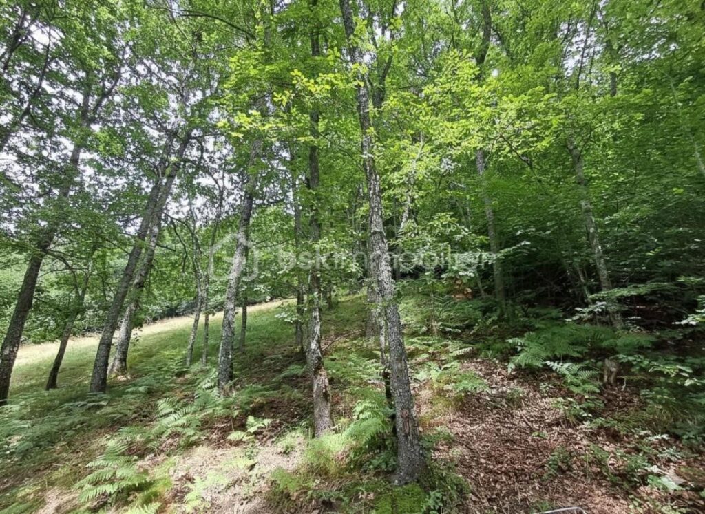 L’authenticité et le rêve: la grange de Jean-Pierre – Un hectare de nature en montagne – 2 pièces – 1 chambre – 30 m²