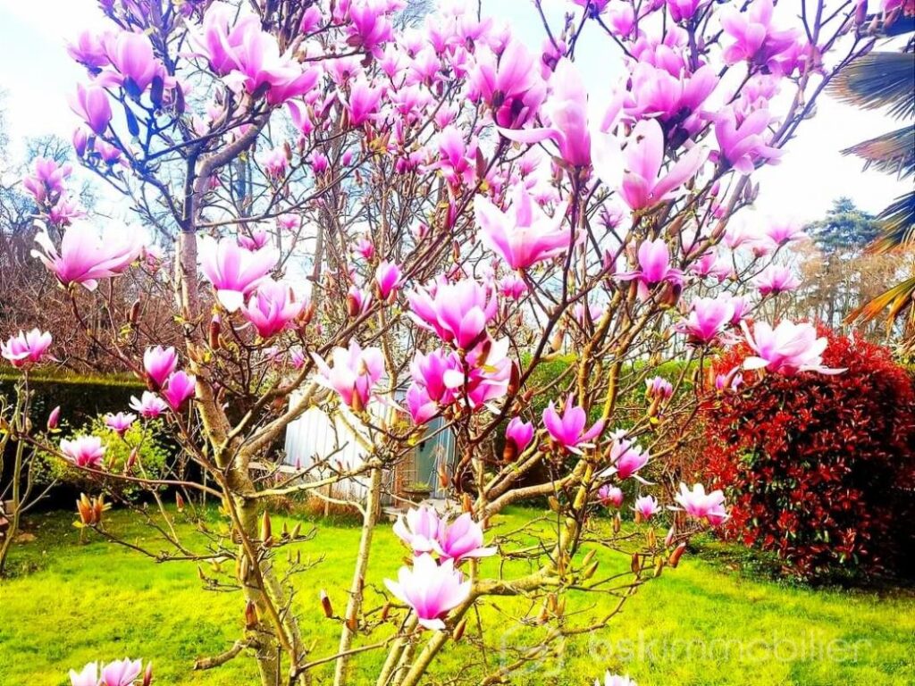 Coup De Cœur – 6 pièces – 4 chambres – 120 m²