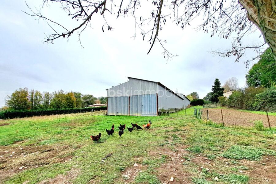 Maison à vendre à Gaudies — Vue nature — photo 14