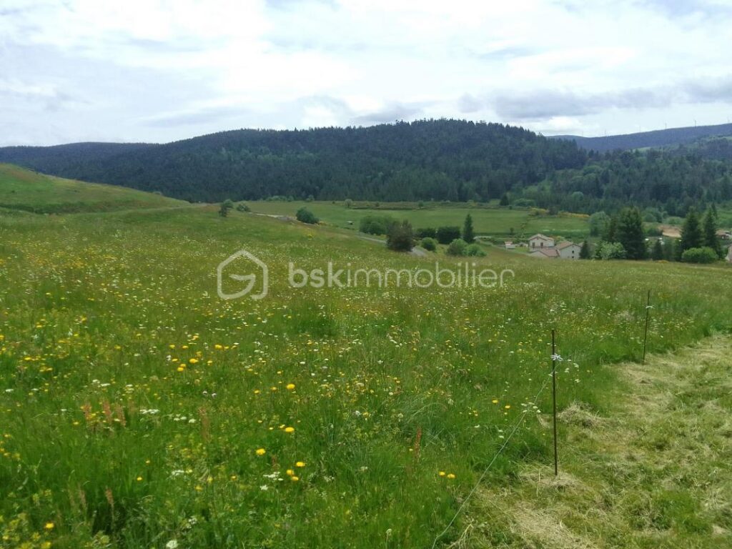 Magnifique Maison sur les monts d’Ardeche – 4 pièces – 3 chambres – 151 m²