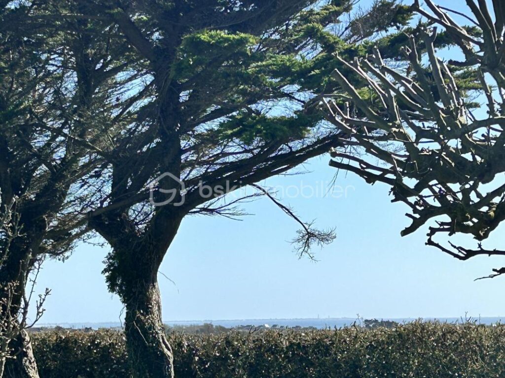 Maison vue mer en Finistère sud – 10 pièces – 7 chambres – 152 m²