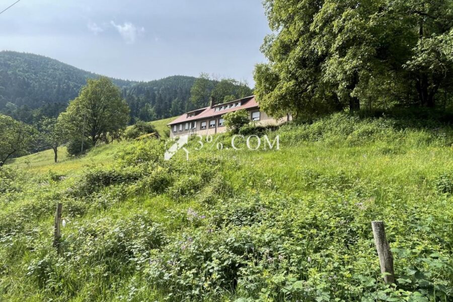Maison à vendre à Sainte marie aux mines