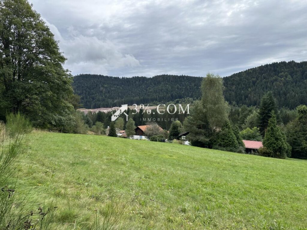 Terrain à bâtir 1800 m2 secteur Gerardmer – NR pièces – NR chambres – 1800 m²