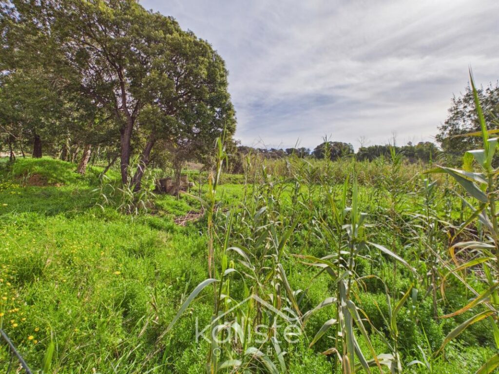 Grand T3 lumineux avec terrasse – Résidence A Spusata – Quartier Madunuccia – Ajaccio – 3 pièces – 2 chambres – 71 m²